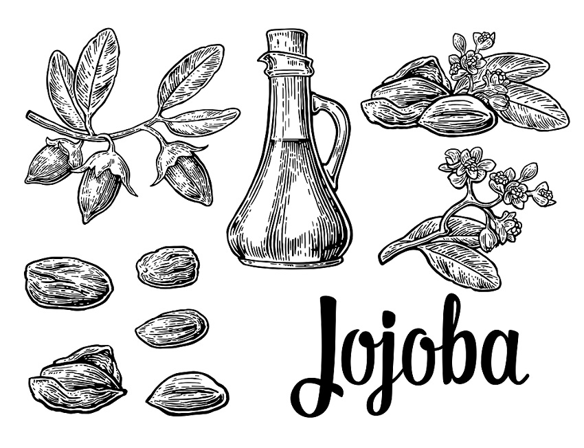 what is jojoba oil