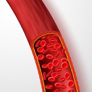 acupressure may help blood circulation