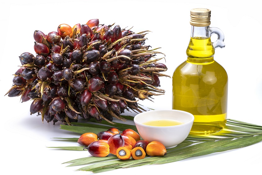 palm oil properties