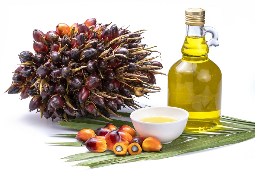 palm oil 