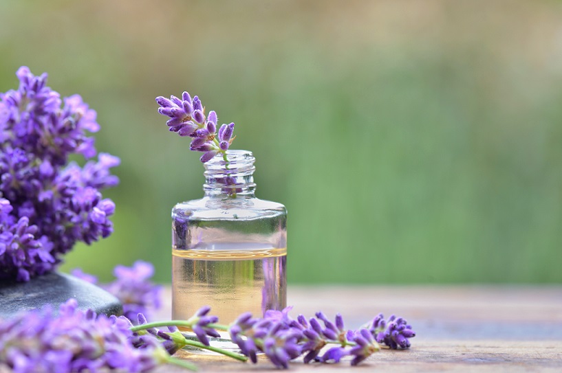 what is lavender essential oil