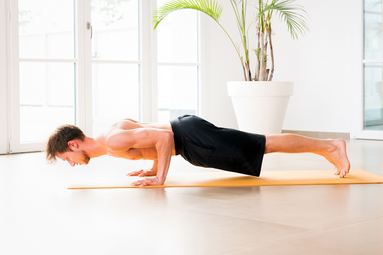 Low Plank Pose: (Chaturanga Dandasana)