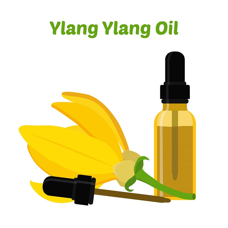 ylang ylang essential oil